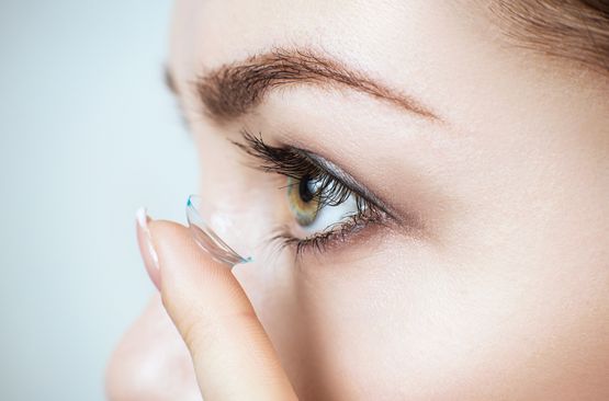 Contacts